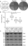 FIG 4