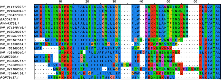 FIGURE 3