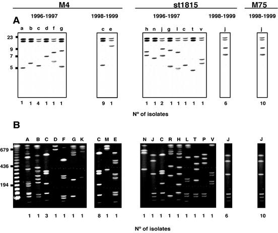 FIG. 1.