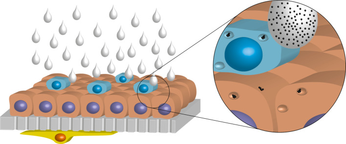 Figure 16