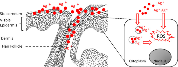 Figure 17