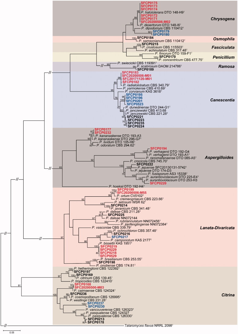 Figure 2.