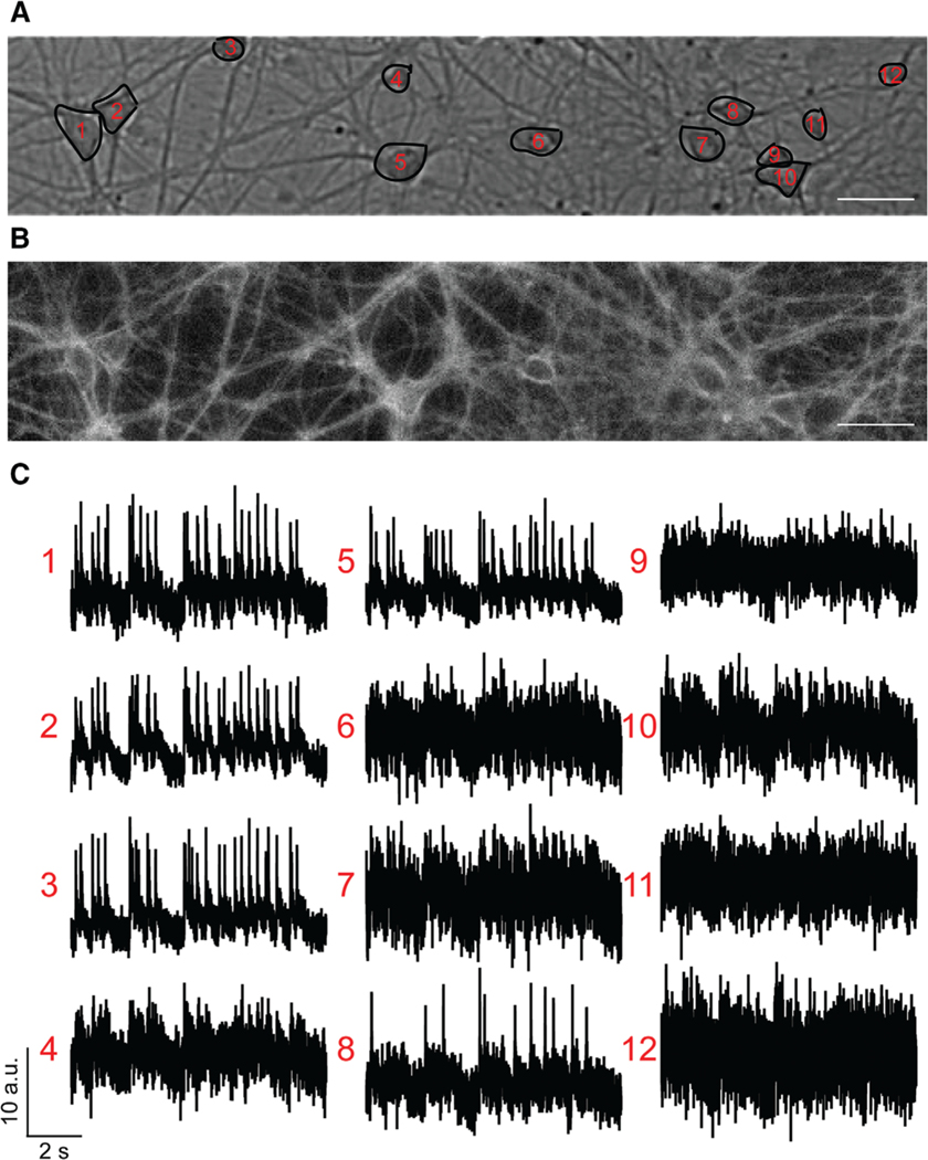 Figure 4