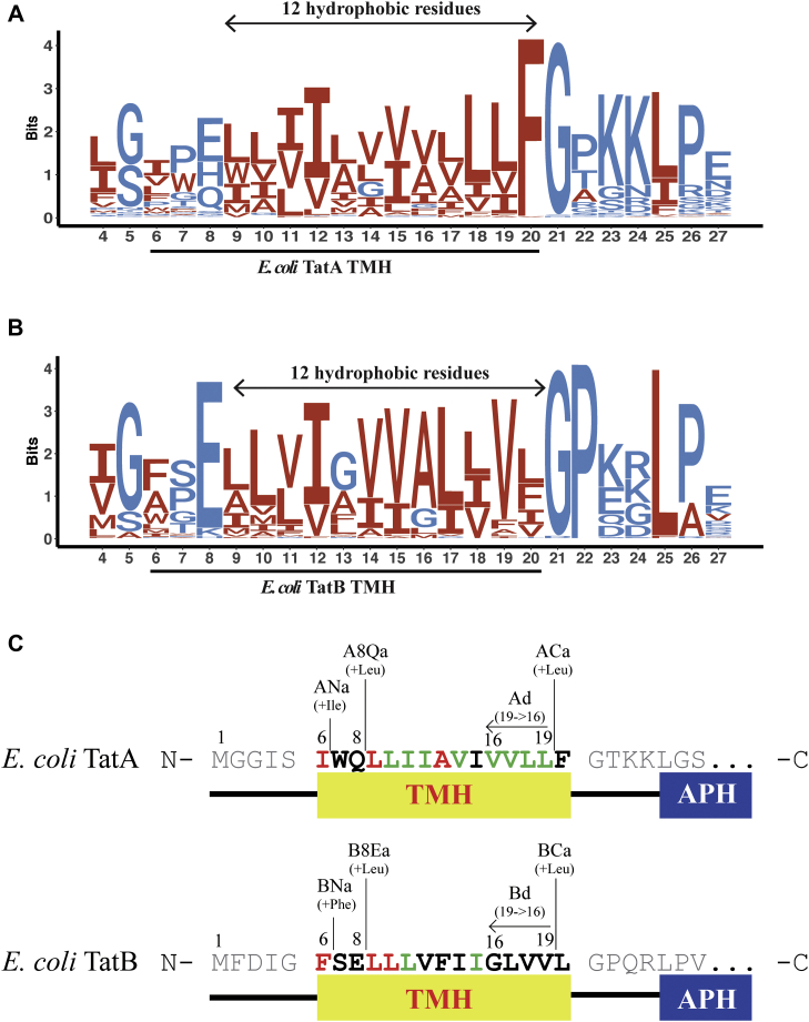 Figure 2