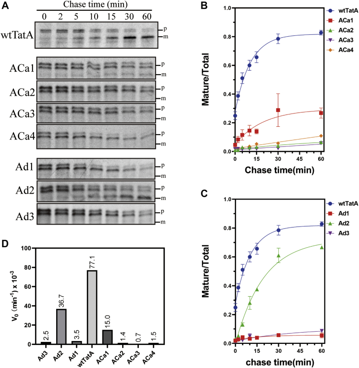 Figure 6