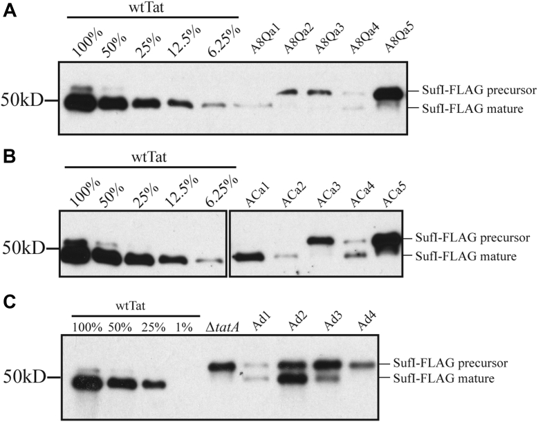 Figure 5