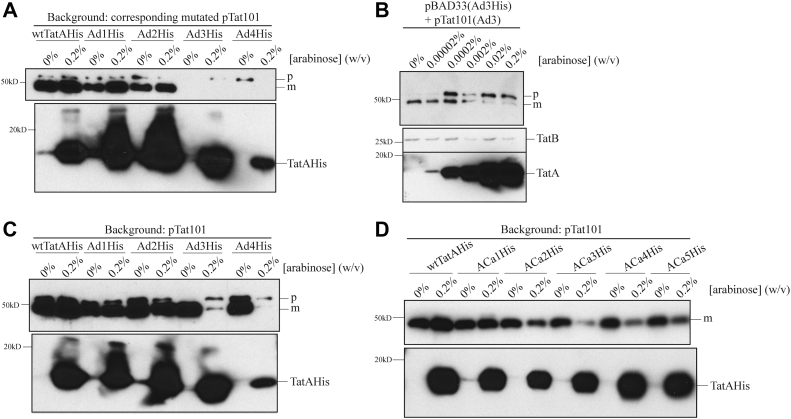 Figure 7