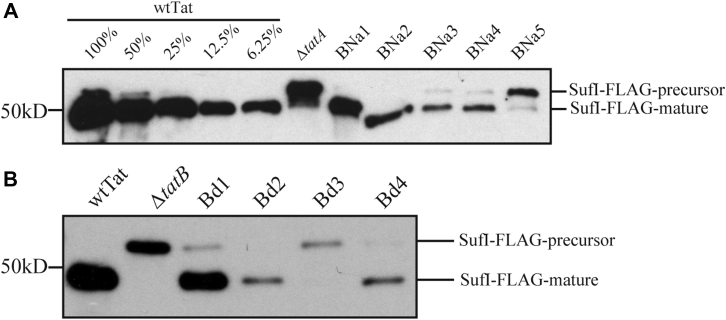 Figure 9