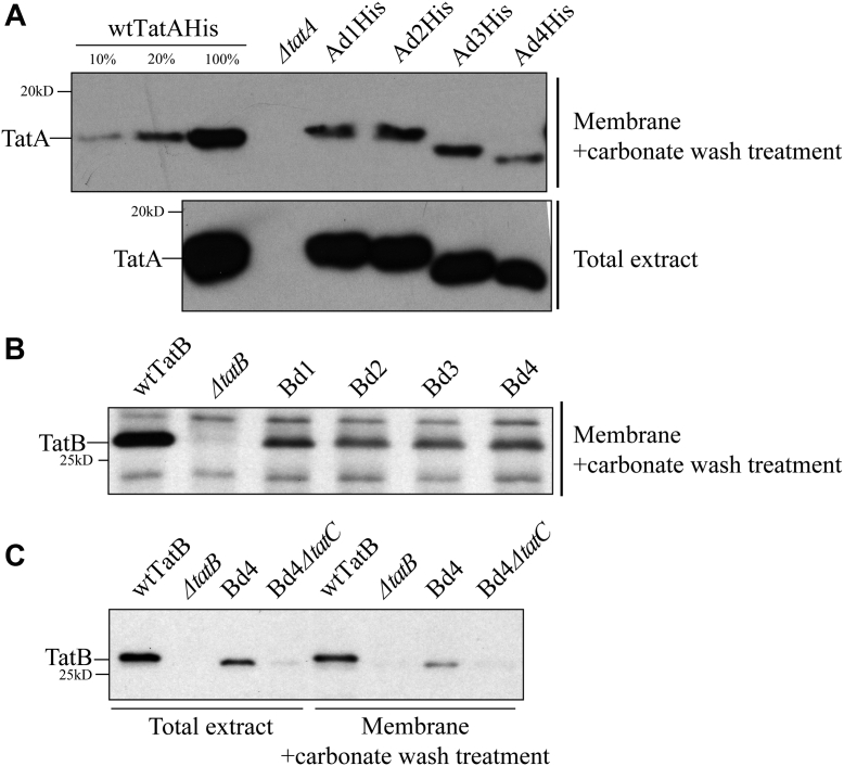 Figure 4