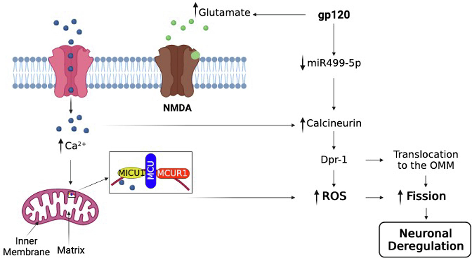 Figure 6.