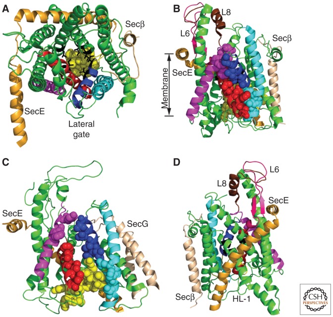 Figure 2.