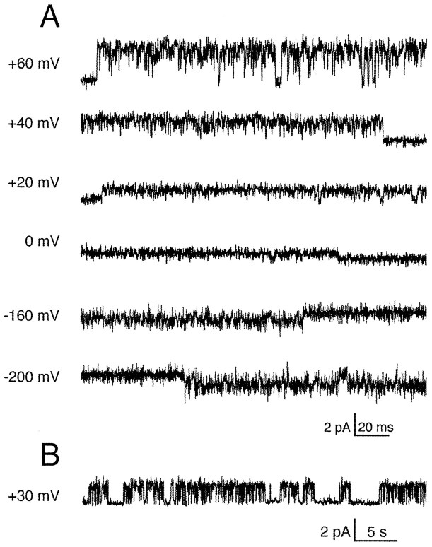 Fig. 8.