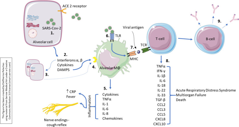 Figure 2.