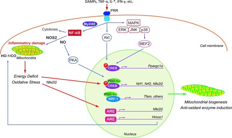 FIG. 3.