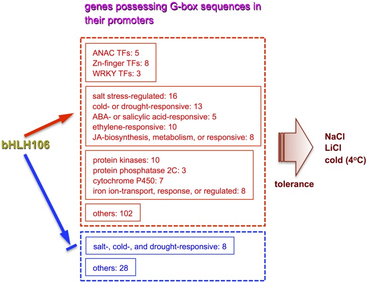 Fig 9