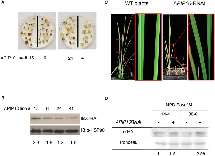 Fig 4