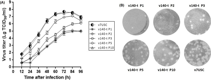 Fig 7