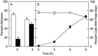 FIG. 5