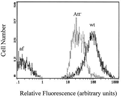 FIG. 1