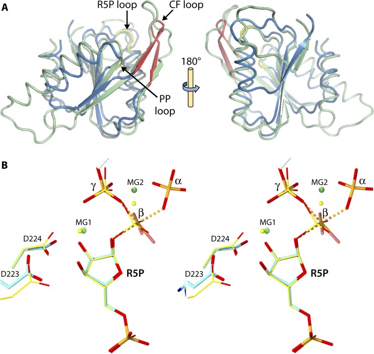 FIG 10