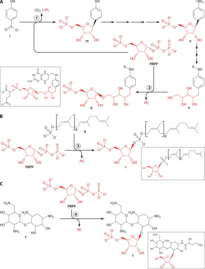 FIG 12