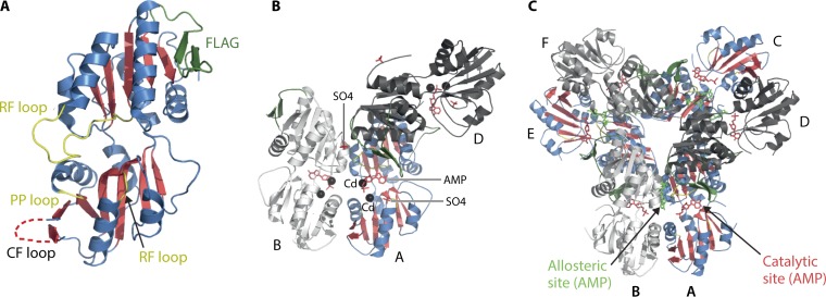 FIG 3