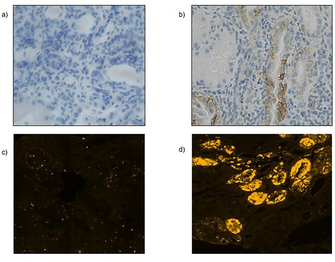 Figure 4: