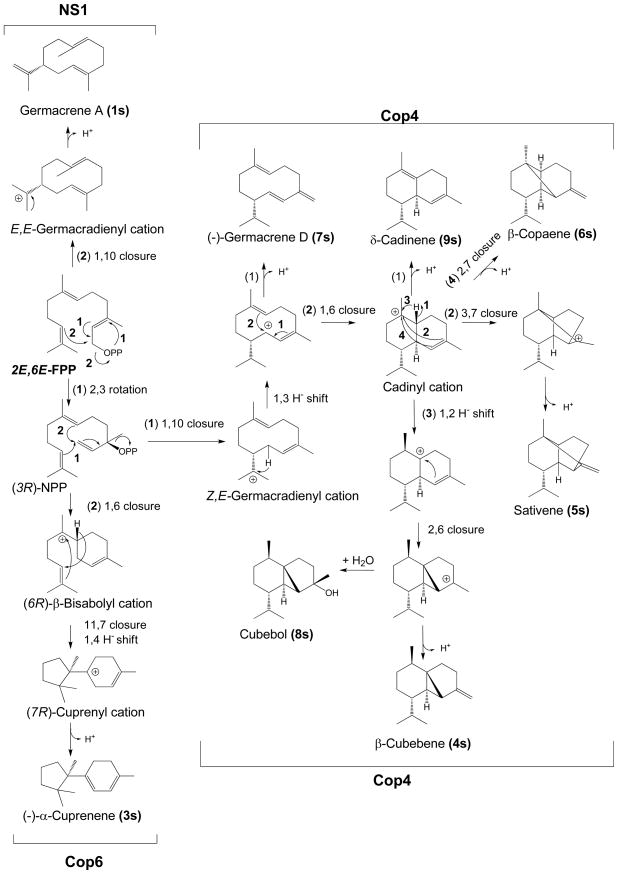 Scheme 1