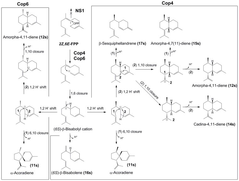 Scheme 2