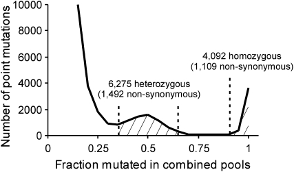 Figure 3.—