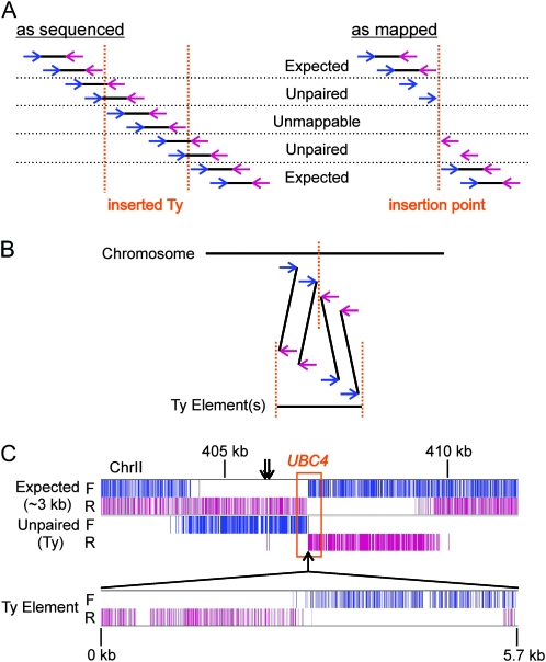 Figure 7.—