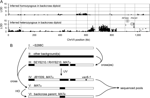 Figure 4.—