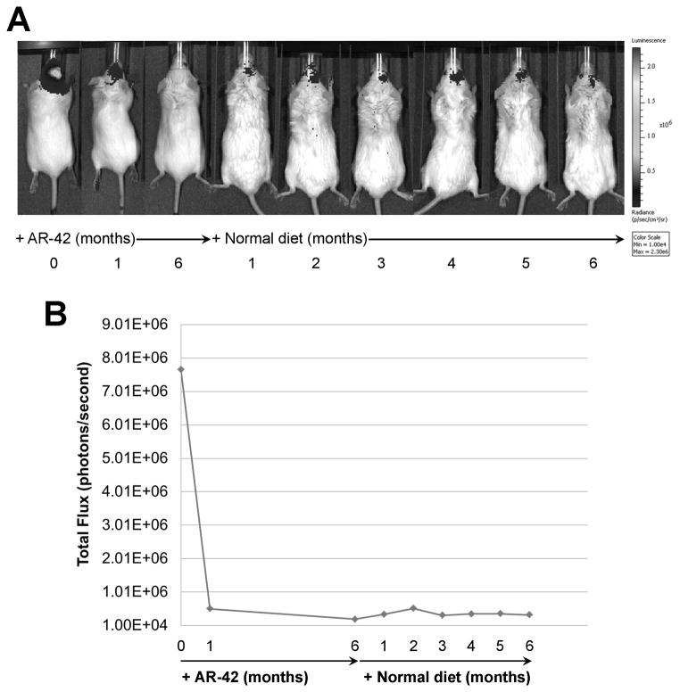 Figure 6