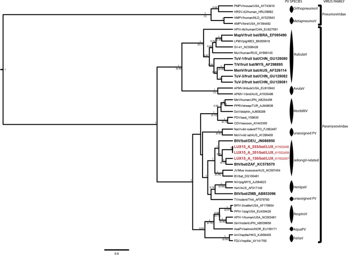 FIG 2