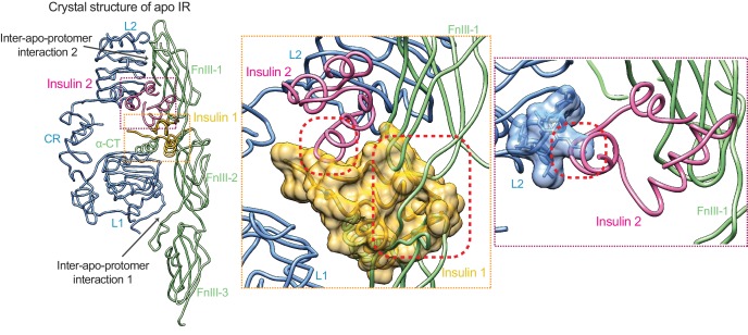 Figure 5.