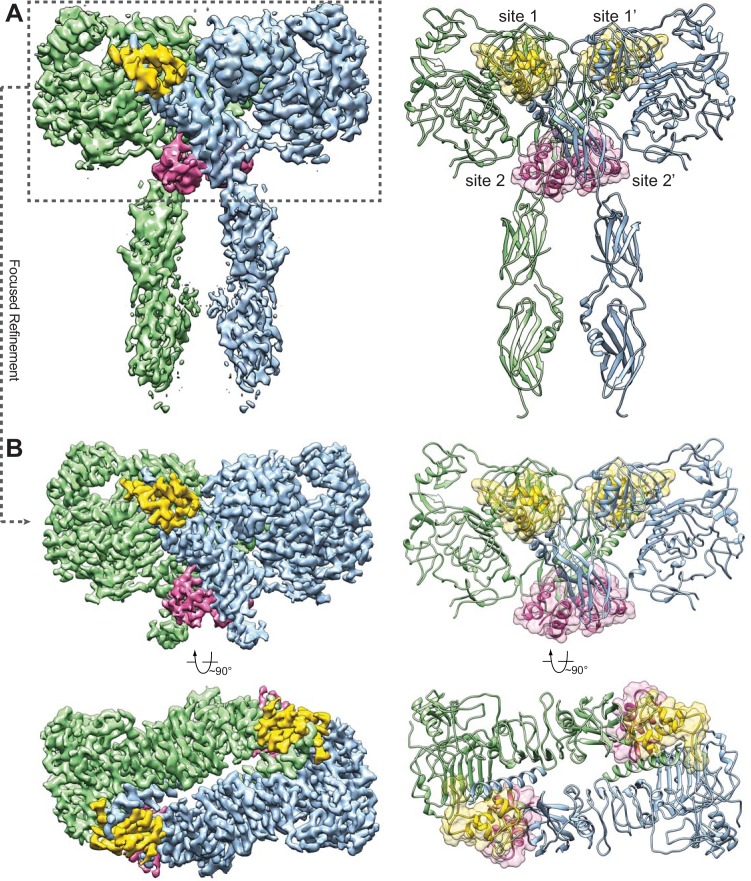 Figure 1.