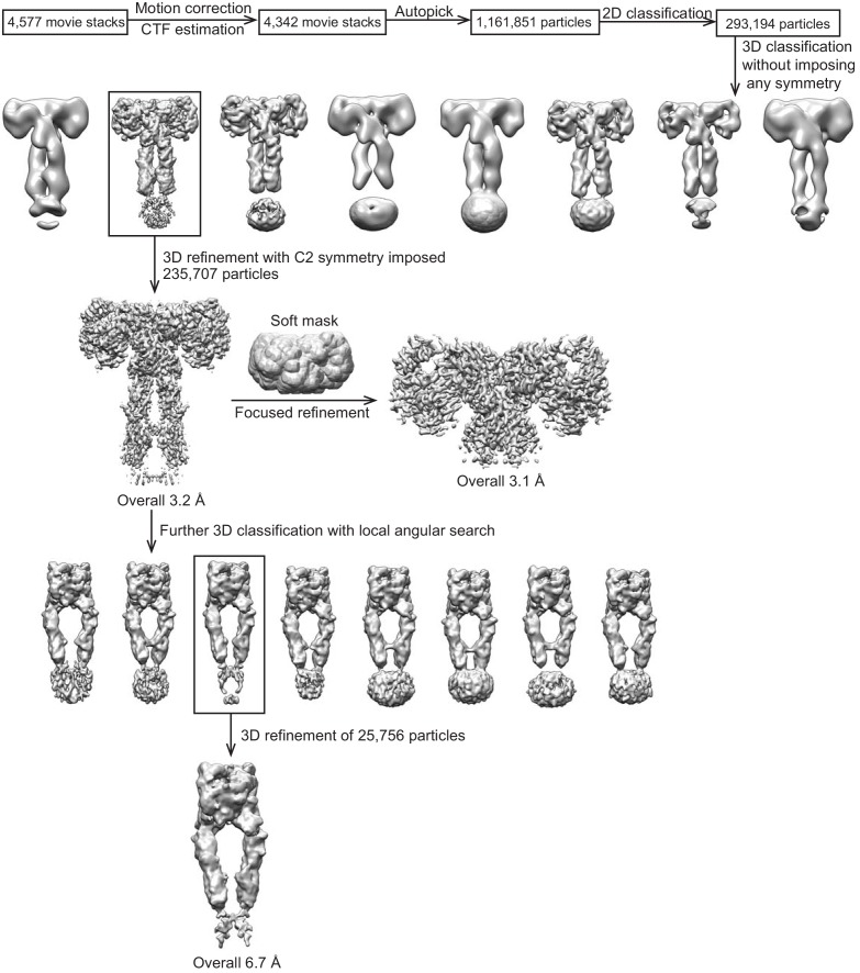 Figure 1—figure supplement 2.