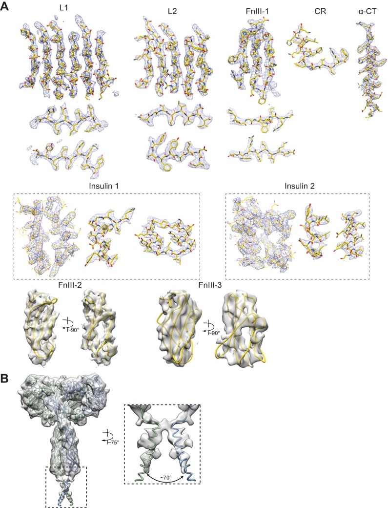 Figure 1—figure supplement 4.