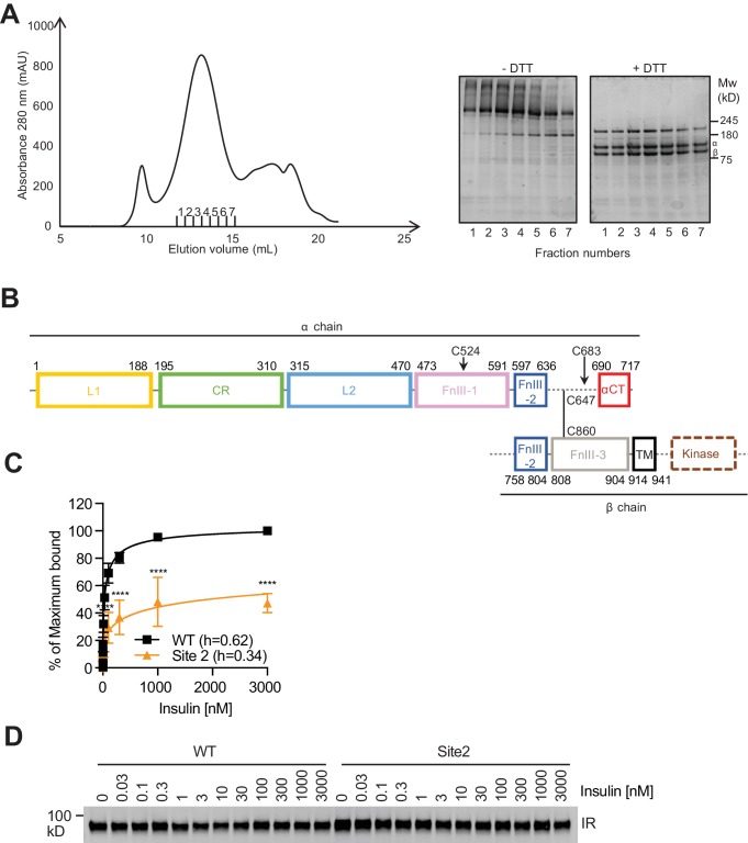 Figure 1—figure supplement 1.