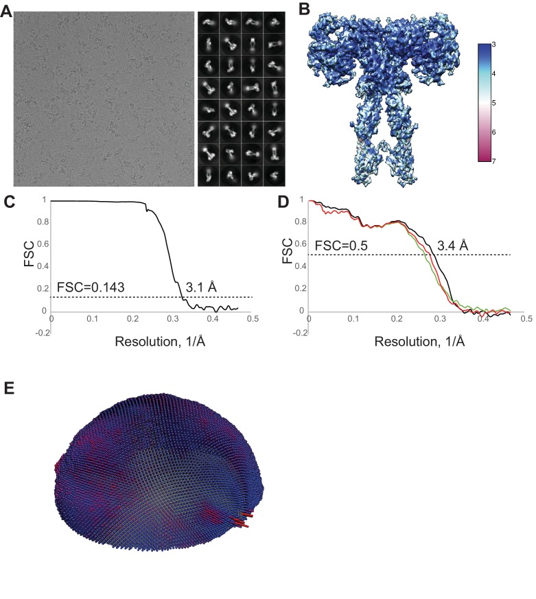 Figure 1—figure supplement 3.