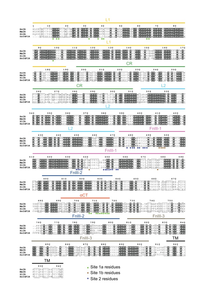 Figure 3—figure supplement 1.