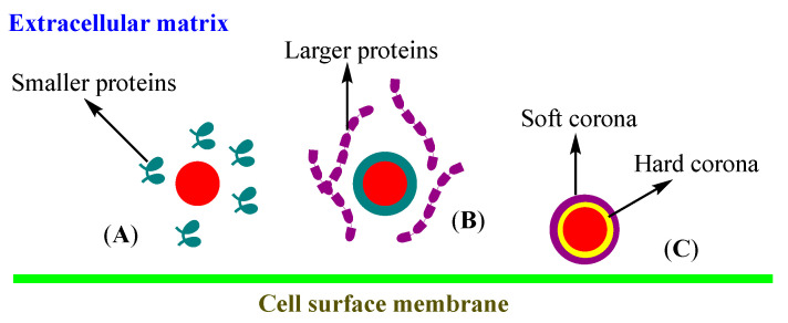 Scheme 3