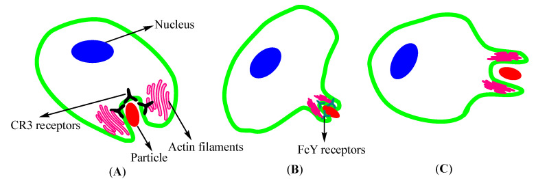 Scheme 2