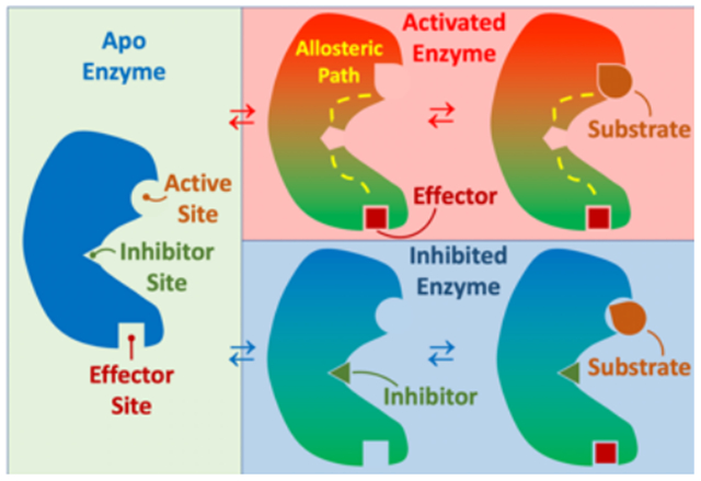 graphic file with name nihms-1604104-f0001.jpg