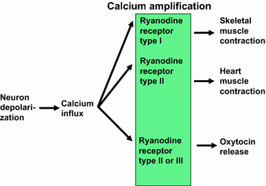 Fig. 7