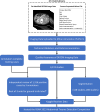 Summary of the data curation and annotation process. * = bowel and
mesenteric injuries were reviewed by two annotators. DICOM = Digital Imaging and
Communications in Medicine.