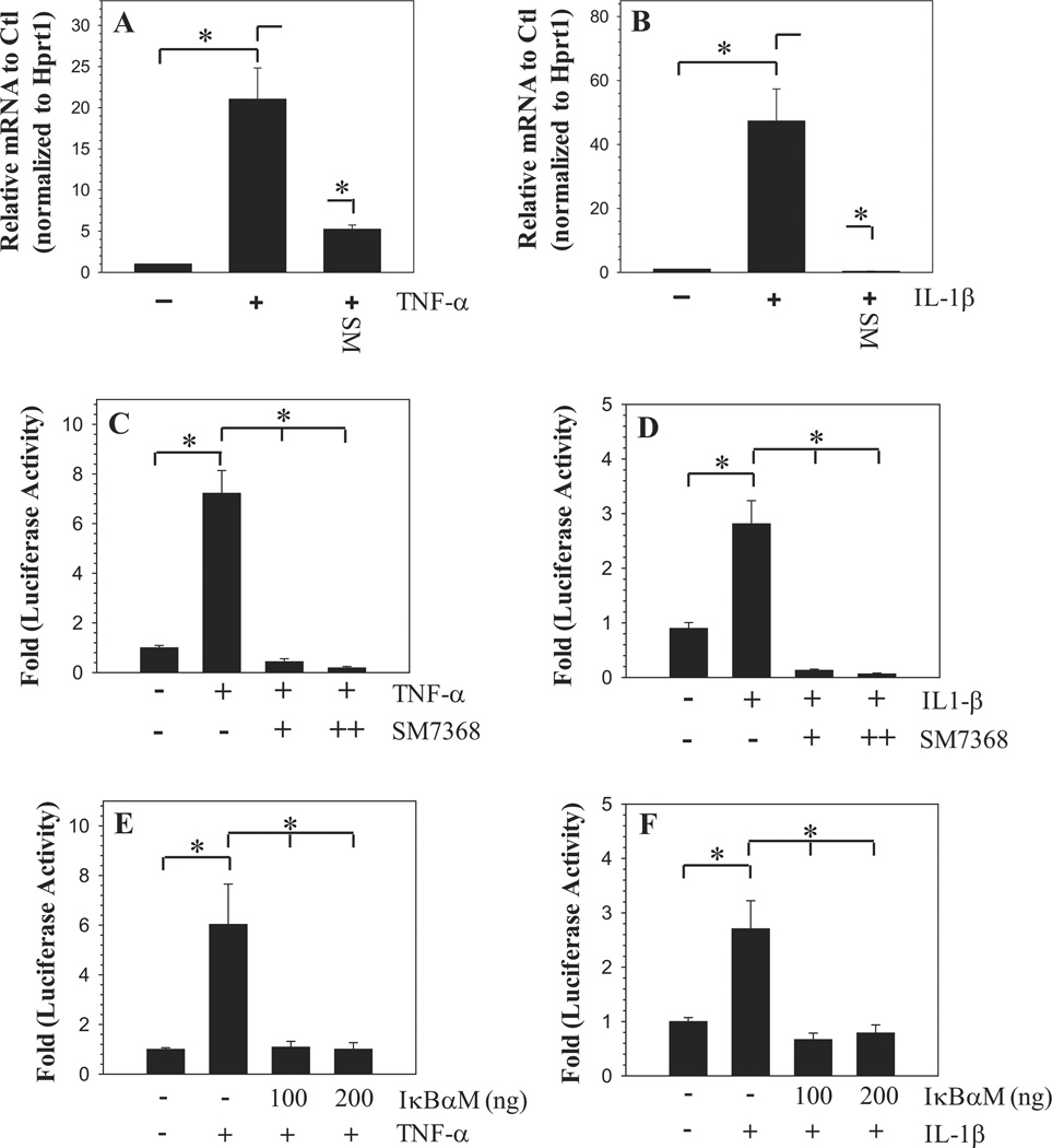 TNF-α and IL-1β Dependent Induction of CCL3 Expression by Nucleus ...