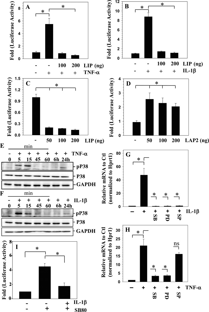 TNF-α and IL-1β Dependent Induction of CCL3 Expression by Nucleus ...