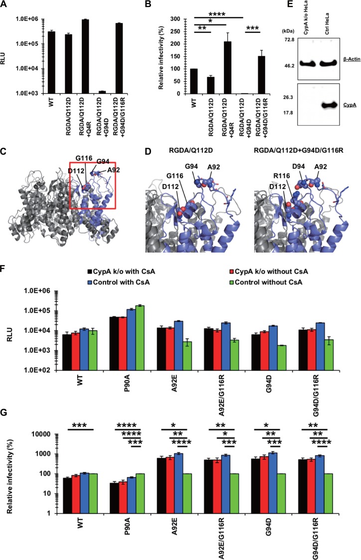 FIG 10