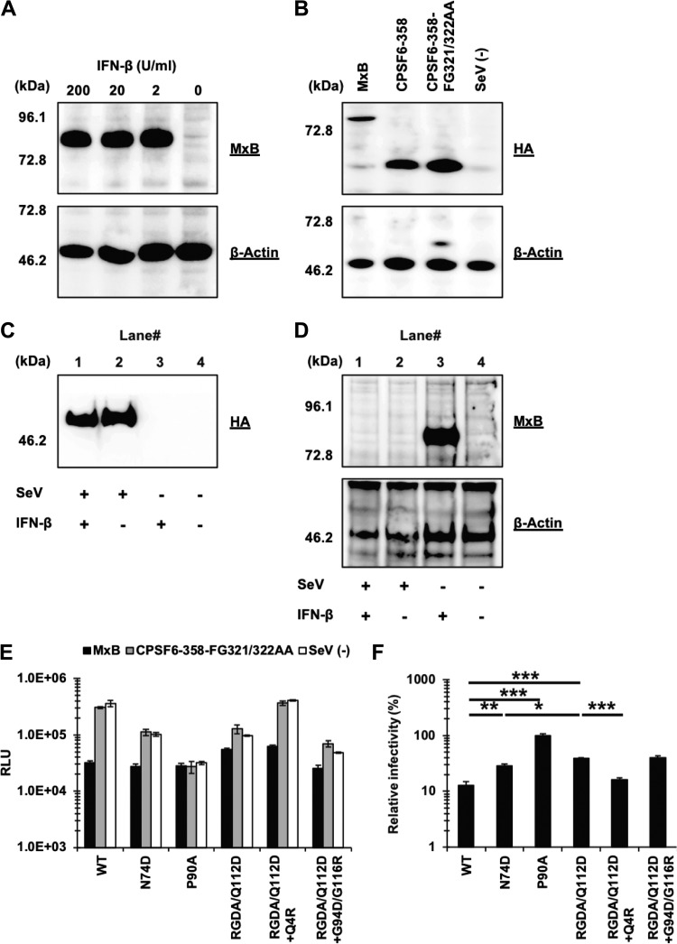 FIG 6